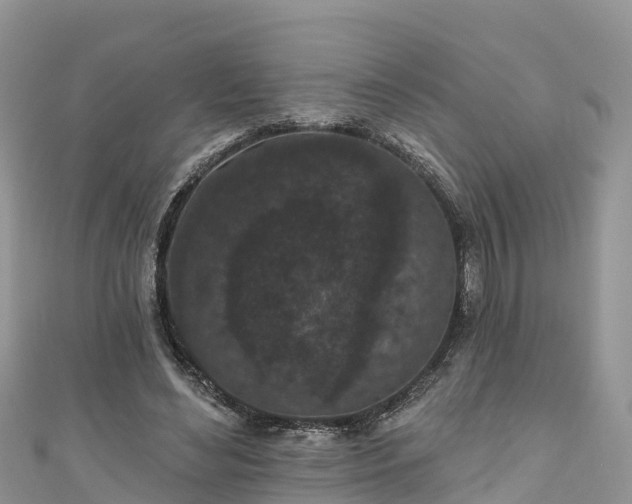 X0000110960492200906261344