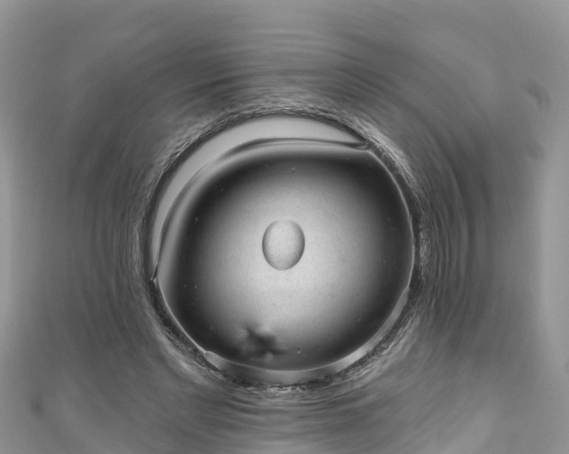 X0000110960493200906261344