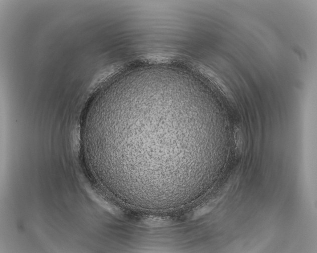 X0000110960494200906261344