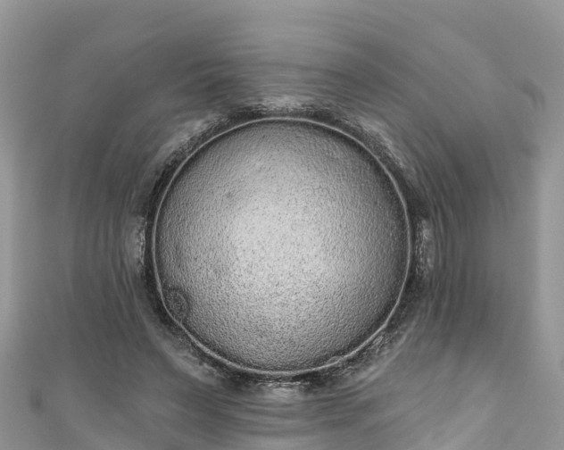 X0000110960495200906261344