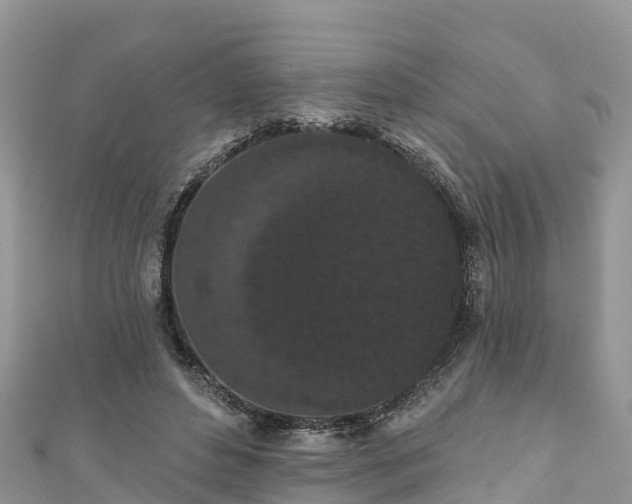 X0000110960496200906261344