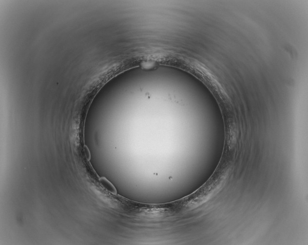 X0000110960497200906261344