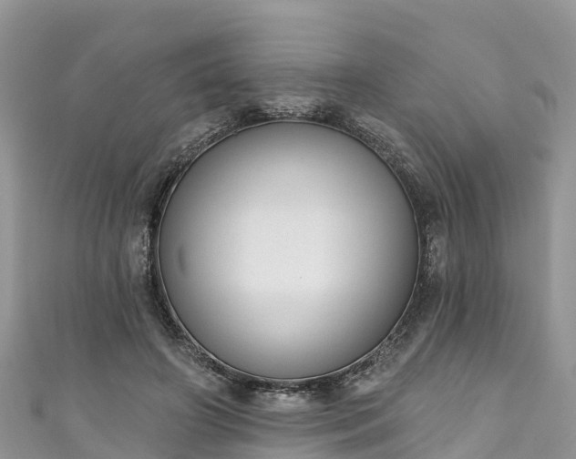 X0000110960498200906261344