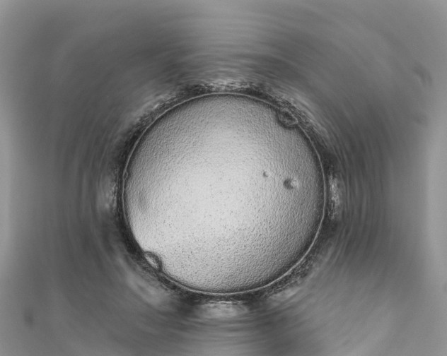 X0000110960499200906261344