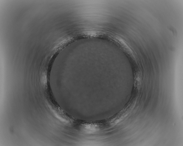 X0000110960500200906261344