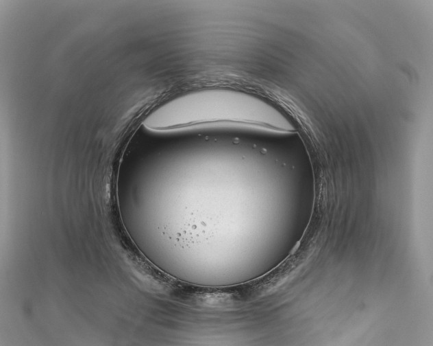 X0000110960501200906261344