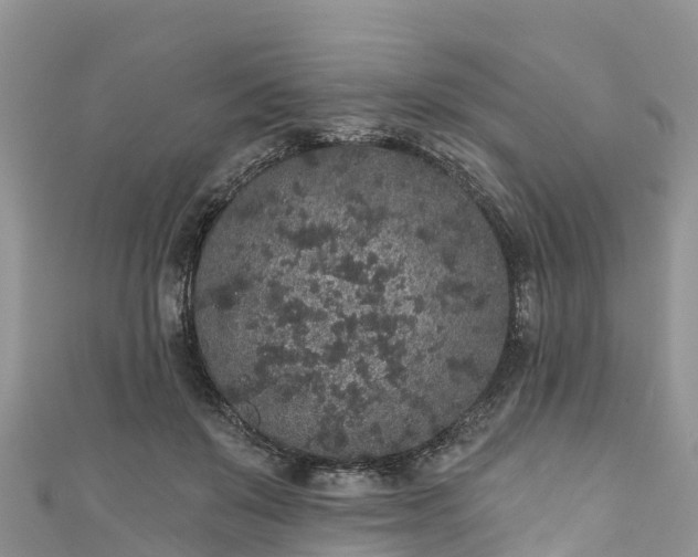 X0000110960503200906261344