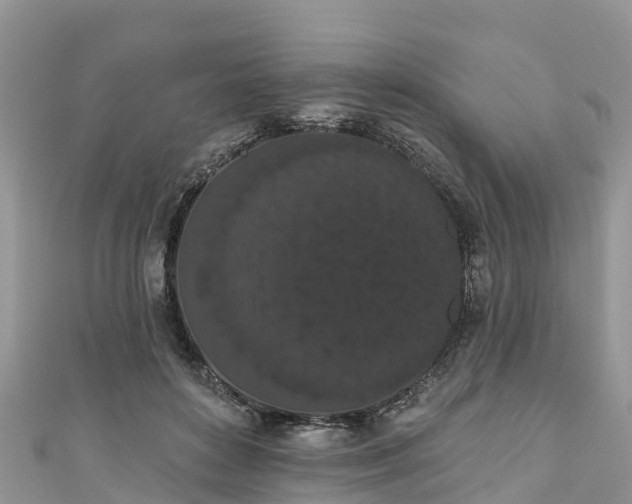 X0000110960504200906261344