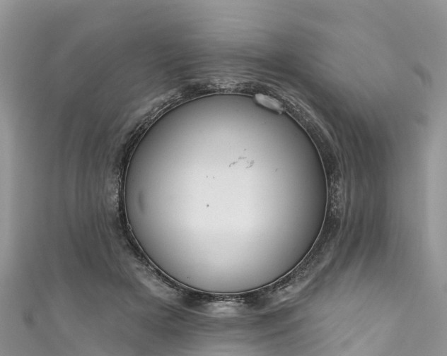 X0000110960505200906261344