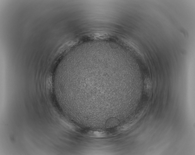 X0000110960506200906261344