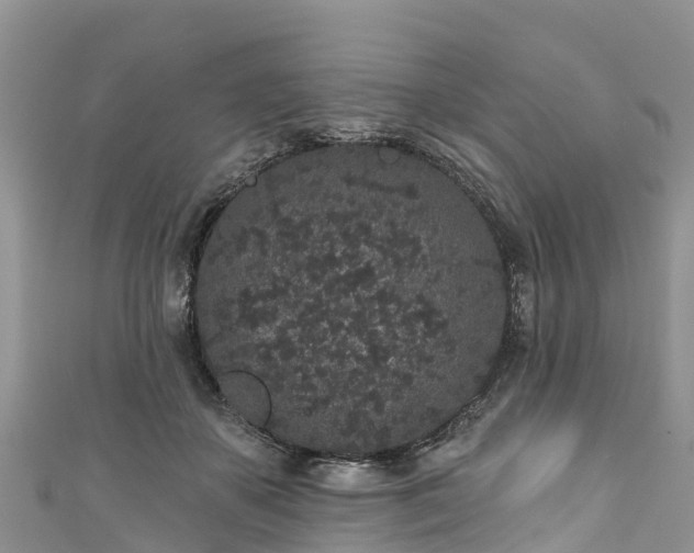 X0000110960507200906261344