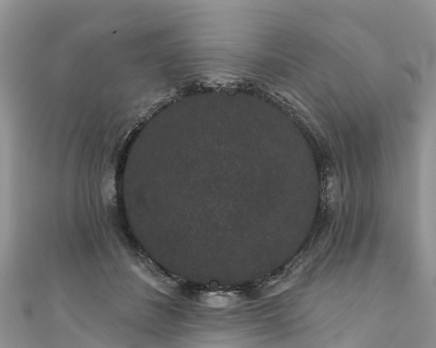 X0000110960508200906261344