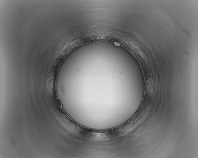 X0000110960509200906261344