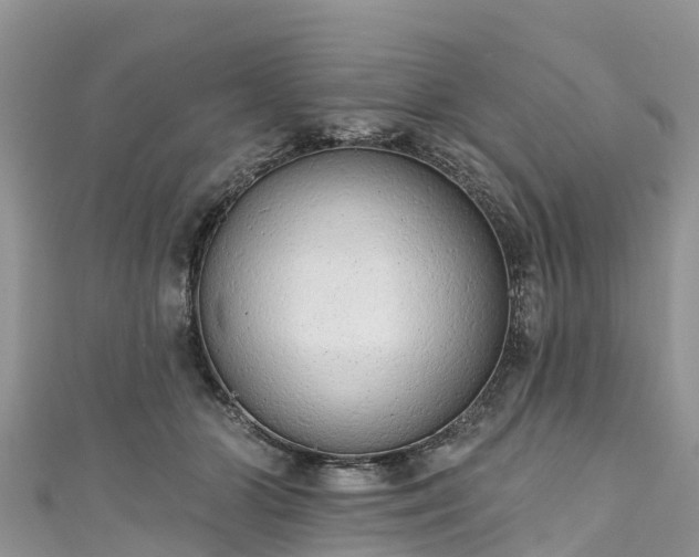 X0000110960510200906261344