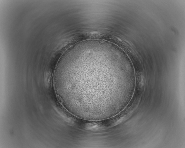 X0000110960511200906261344