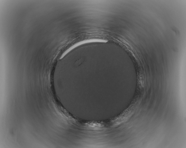 X0000110960512200906261344