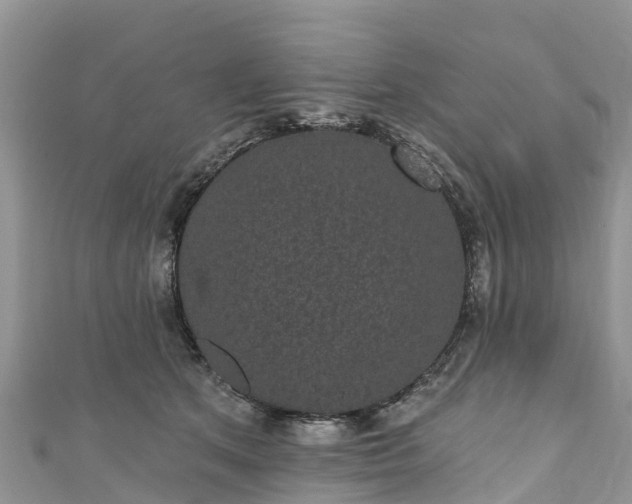 X0000110960513200906261344