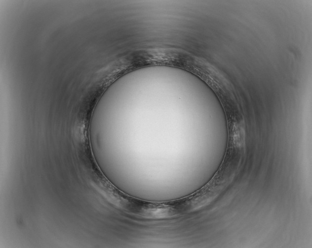 X0000110960514200906261344