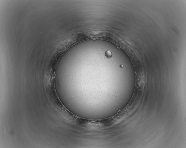 X0000110960515200906261344