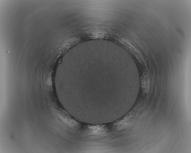 X0000110960516200906261344