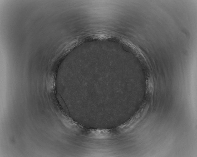 X0000110960517200906261344