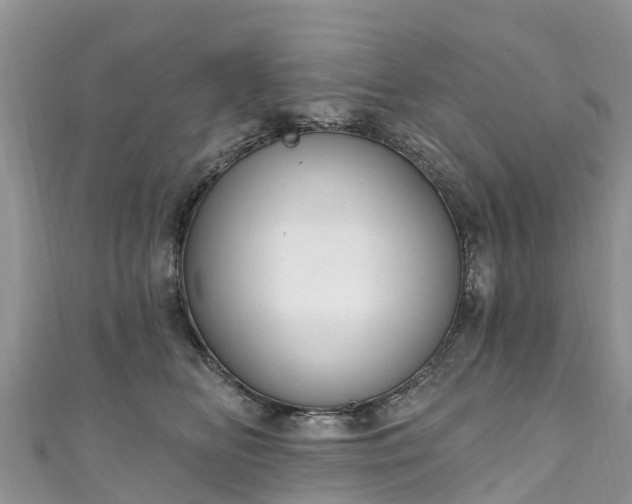 X0000110960518200906261344