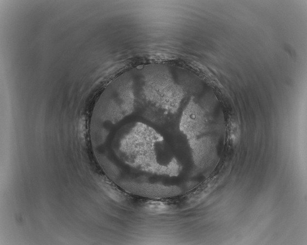 X0000110960519200906261344