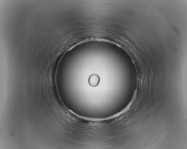 X0000110960520200906261344