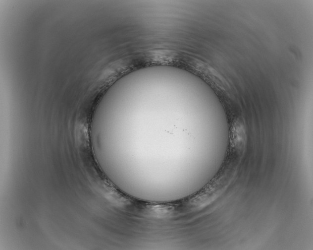 X0000110960522200906261344