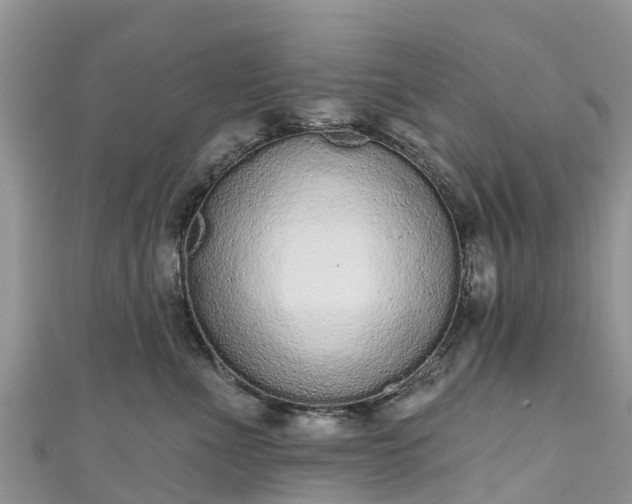 X0000110960523200906261344