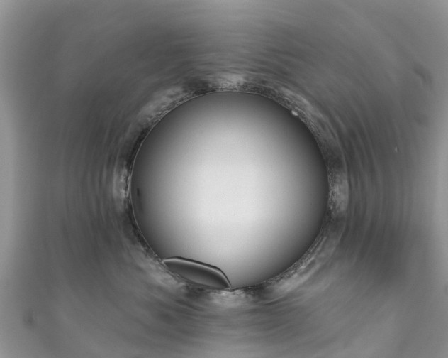 X0000110960525200906261344