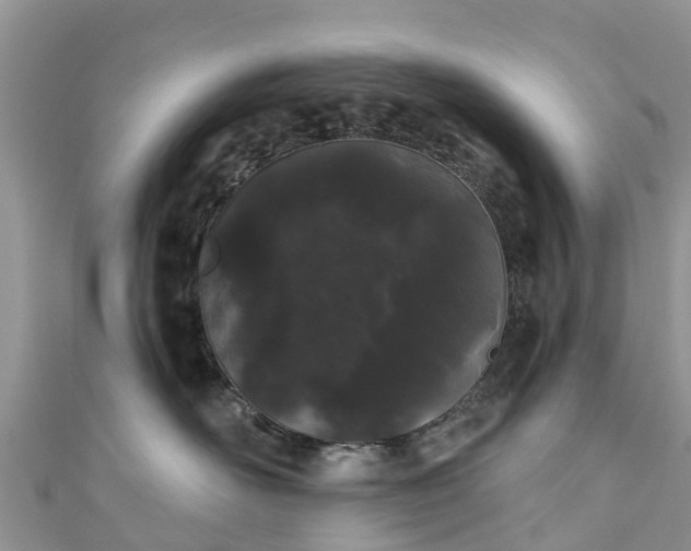 X0000110960526200906261344