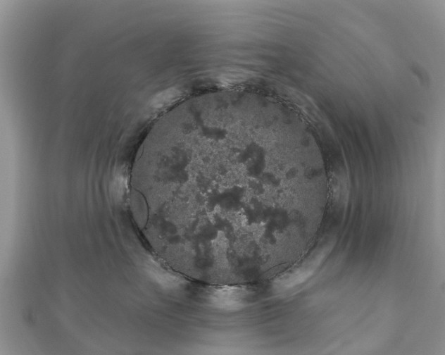 X0000110960527200906261344