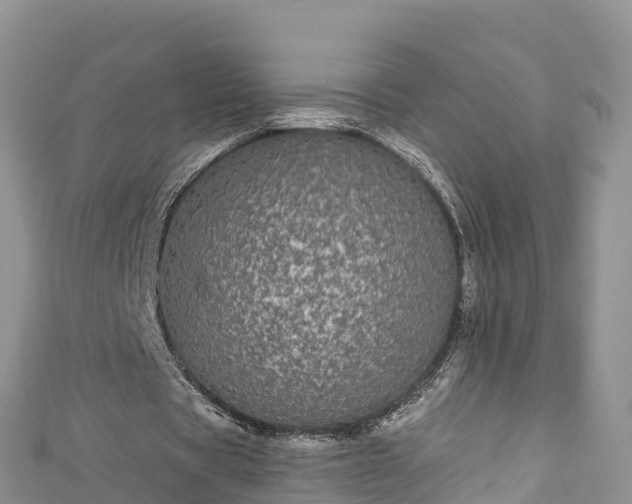 X0000110960529200906261343