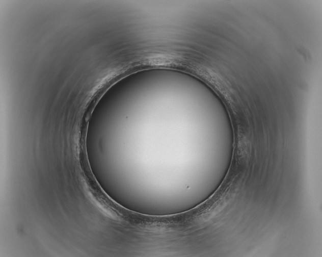 X0000110960530200906261343