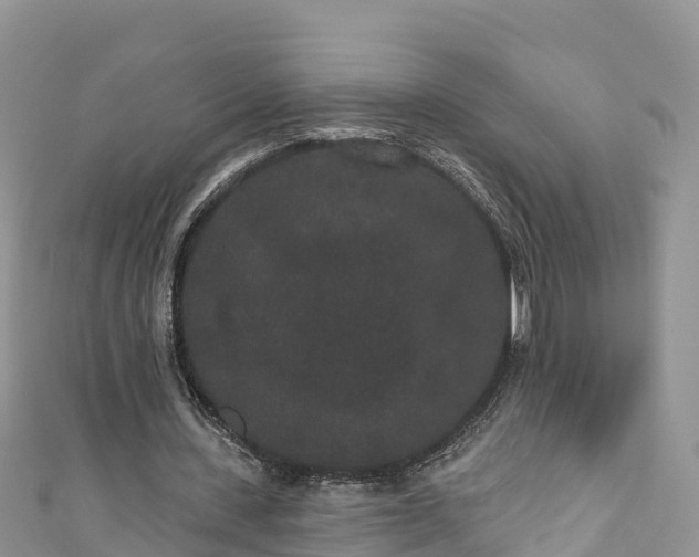 X0000110960531200906261343