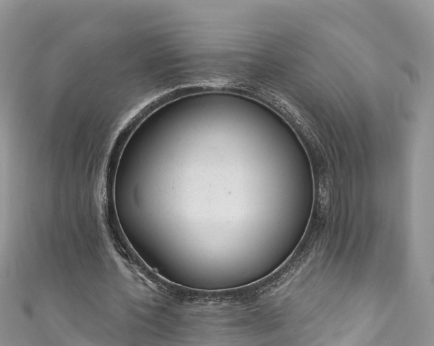 X0000110960532200906261343