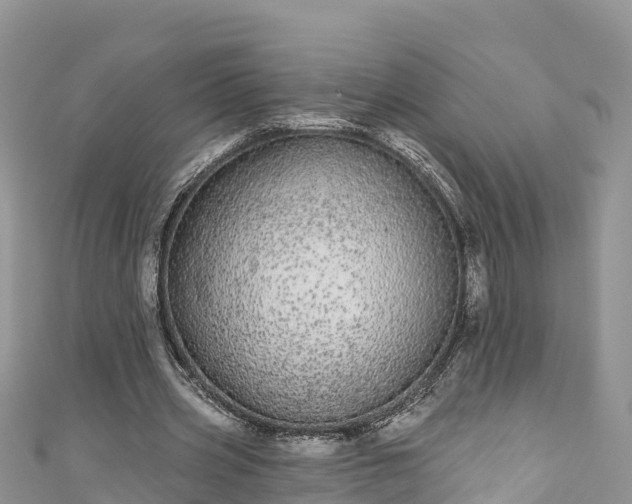 X0000110960533200906261343