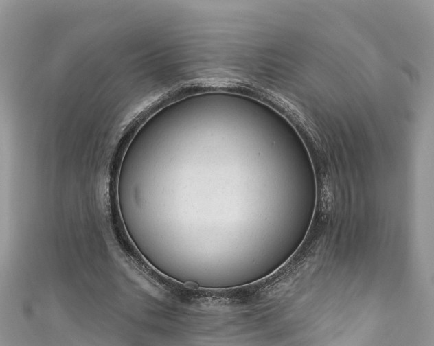 X0000110960535200906261343