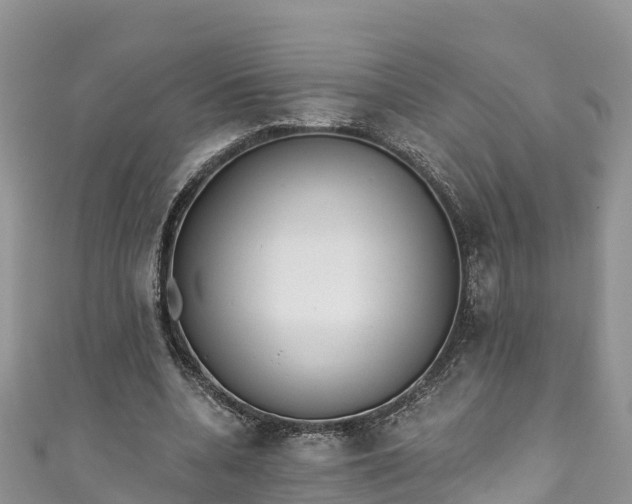 X0000110960536200906261343