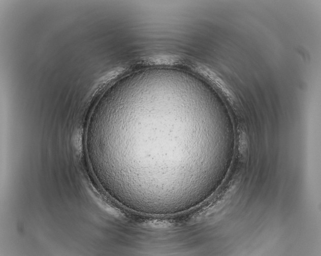 X0000110960537200906261343