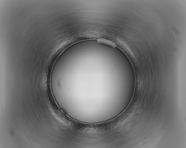 X0000110960538200906261343