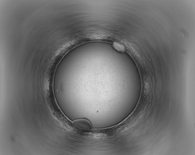 X0000110960539200906261343