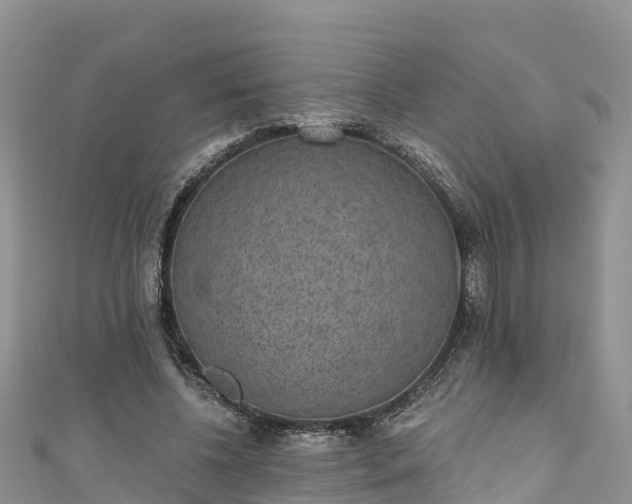 X0000110960540200906261343