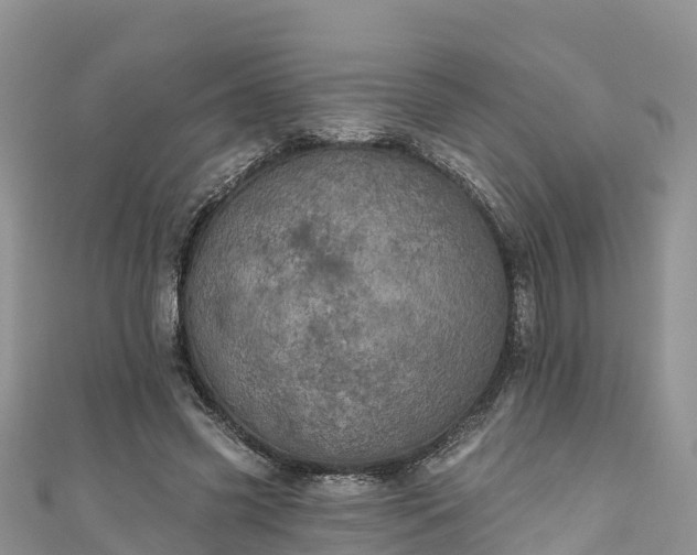 X0000110960541200906261343