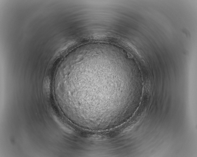 X0000110960542200906261343