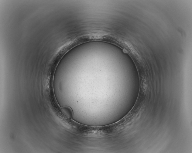 X0000110960543200906261343