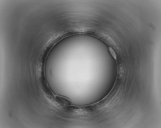 X0000110960544200906261343