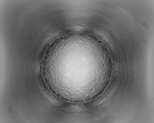 X0000110960545200906261343