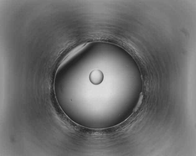 X0000110960546200906261343